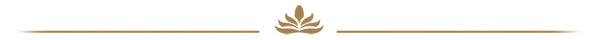 Ayurvedic decorative divider with lotus icon symbolizing holistic healing