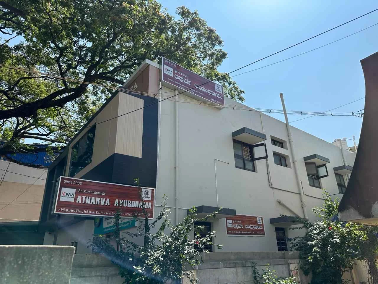Raktamokshana Ayurvedic Therapy in Davanagere